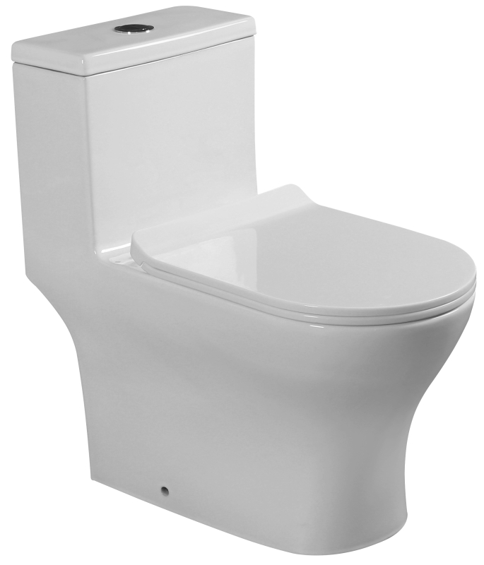 Estillo One Piece Washdown Water Closet CASCINA P