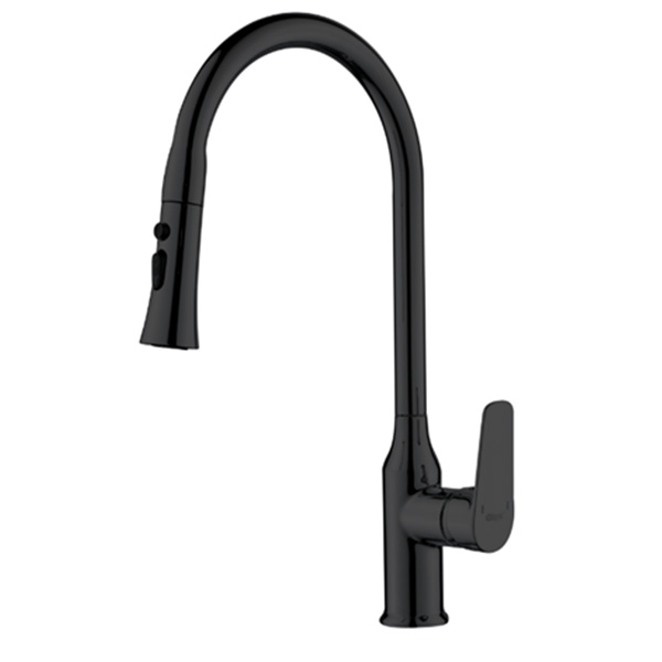 Abagno Kitchen Sink Mixer TEM-182P-MB [Matt Black]
