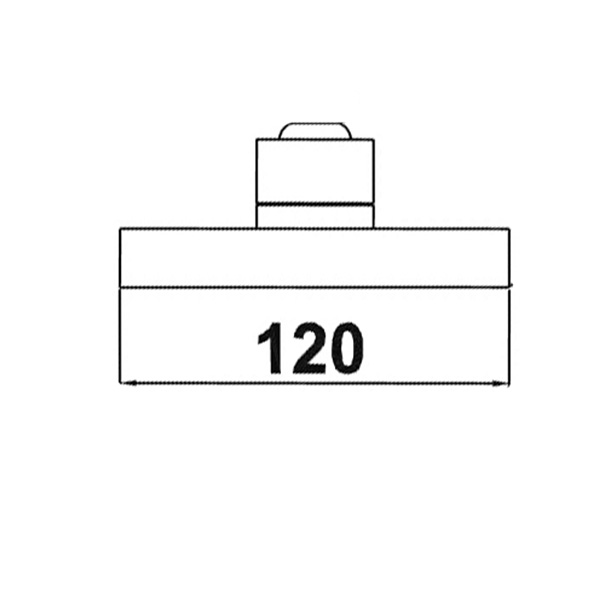 Abagno Shower Rose AR-552A