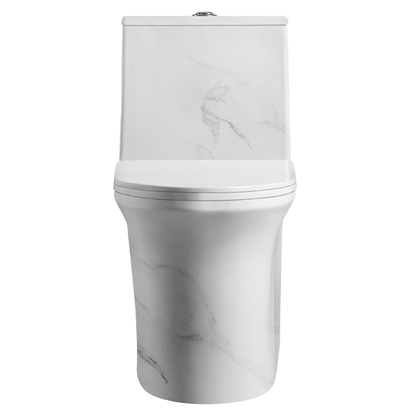 Abagno One Piece Water Closet LAZIO [Marble Design]
