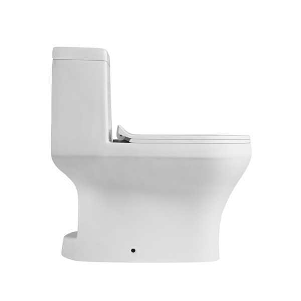 Estillo One Piece Washdown Water Closet FLORENCE