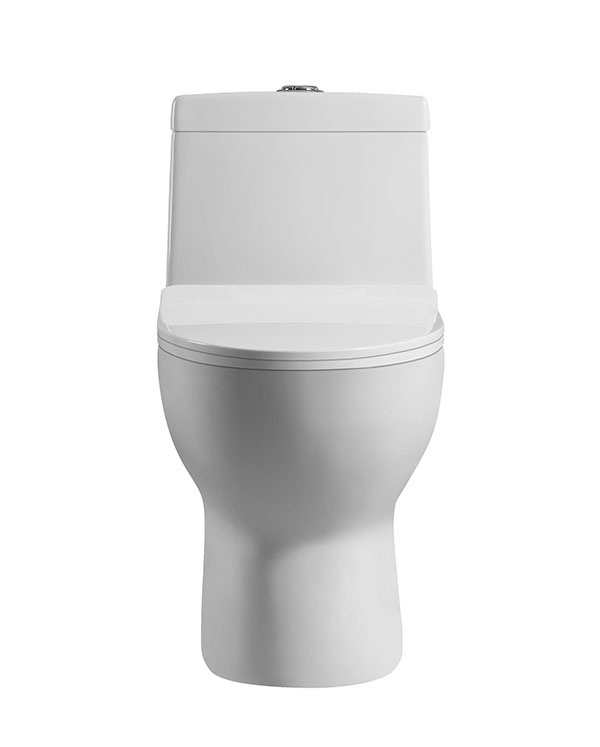 Abagno One Piece Washdown Water Closet SICILIA