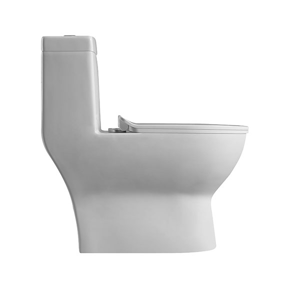 Abagno One Piece Washdown Water Closet SICILIA