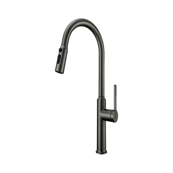 Abagno Kitchen Sink Mixer SPM-188P-BN