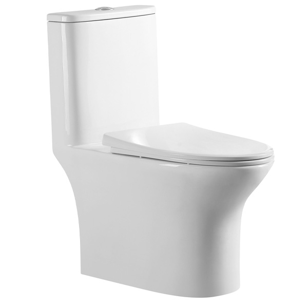 Abagno One Piece Washdown Water Closet TORCELLO FX