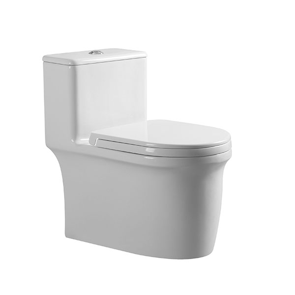 Abagno One Piece Water Closet TRENTINO
