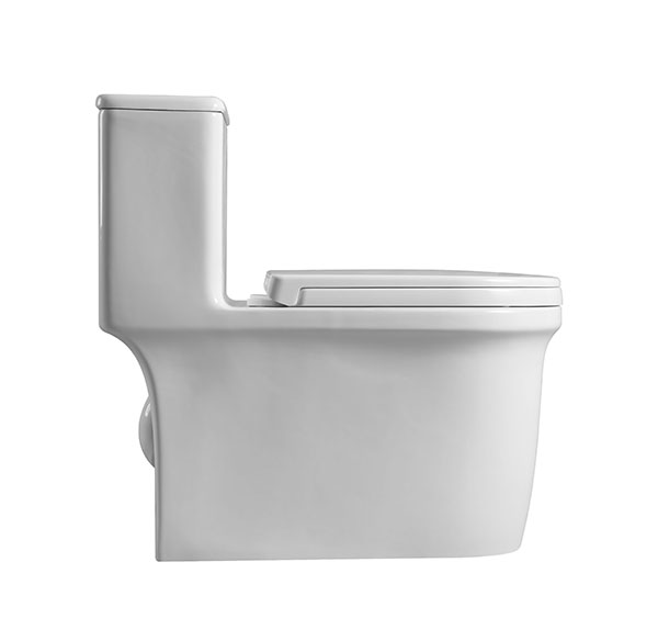 Abagno One Piece Water Closet TRENTINO