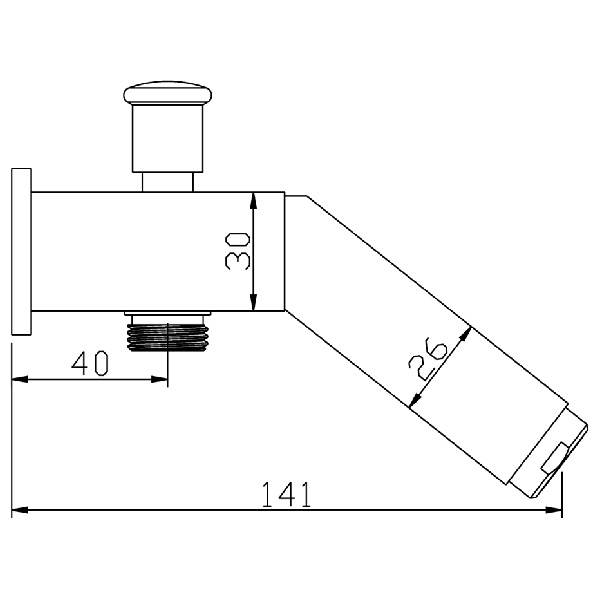 Abagno Bath Spout with Diverter WS-44-150-2
