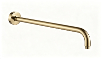 Abagno 400mm Shower Arm LS-22-400-GS