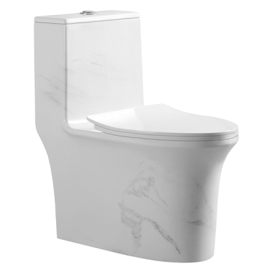 Abagno One Piece Water Closet LAZIO [Marble Design]