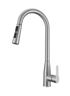 Abagno Kitchen Sink Mixer With Pull-Out 3-Functions Spray SHM-280P-SS