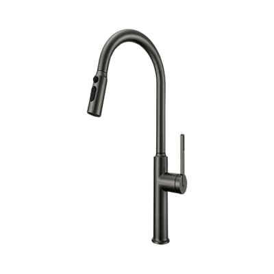 Abagno Kitchen Sink Mixer SPM-188P-BN