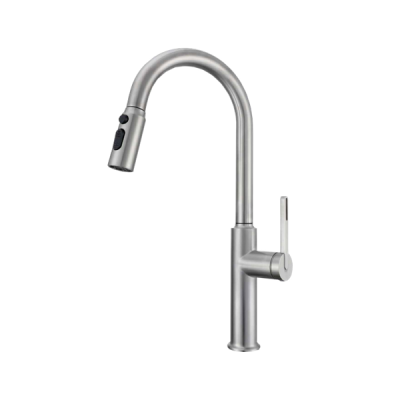 Abagno Kitchen Sink Mixer SPM-188P-SS