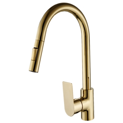 Abagno Kitchen Sink Mixer With Pull-out & Double Spray TAM-180JP-ZG