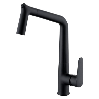 Abagno Kitchen Sink Mixer With Pull-out & Double Spray TDM-187P-MB