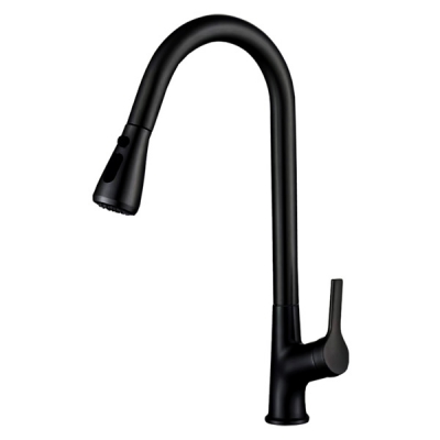 Abagno Kitchen Sink Mixer With Pull-out & Double Spray TIM-180P-MB